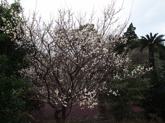 sdp2012-0208