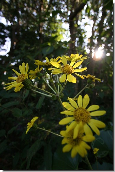 20061123-104-thumb