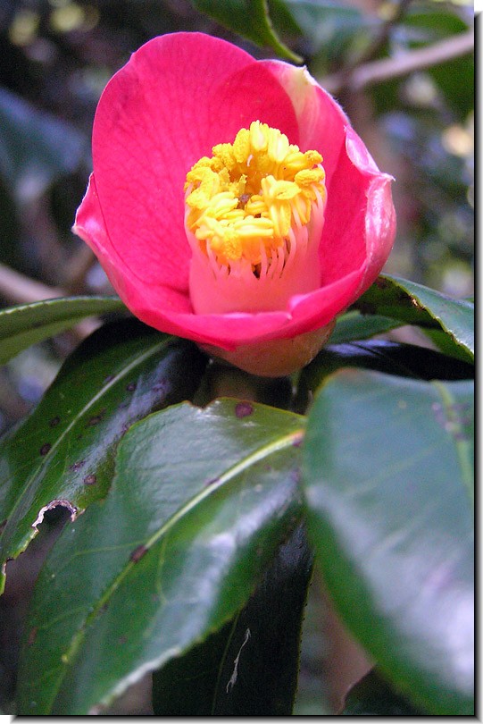 20080109-1