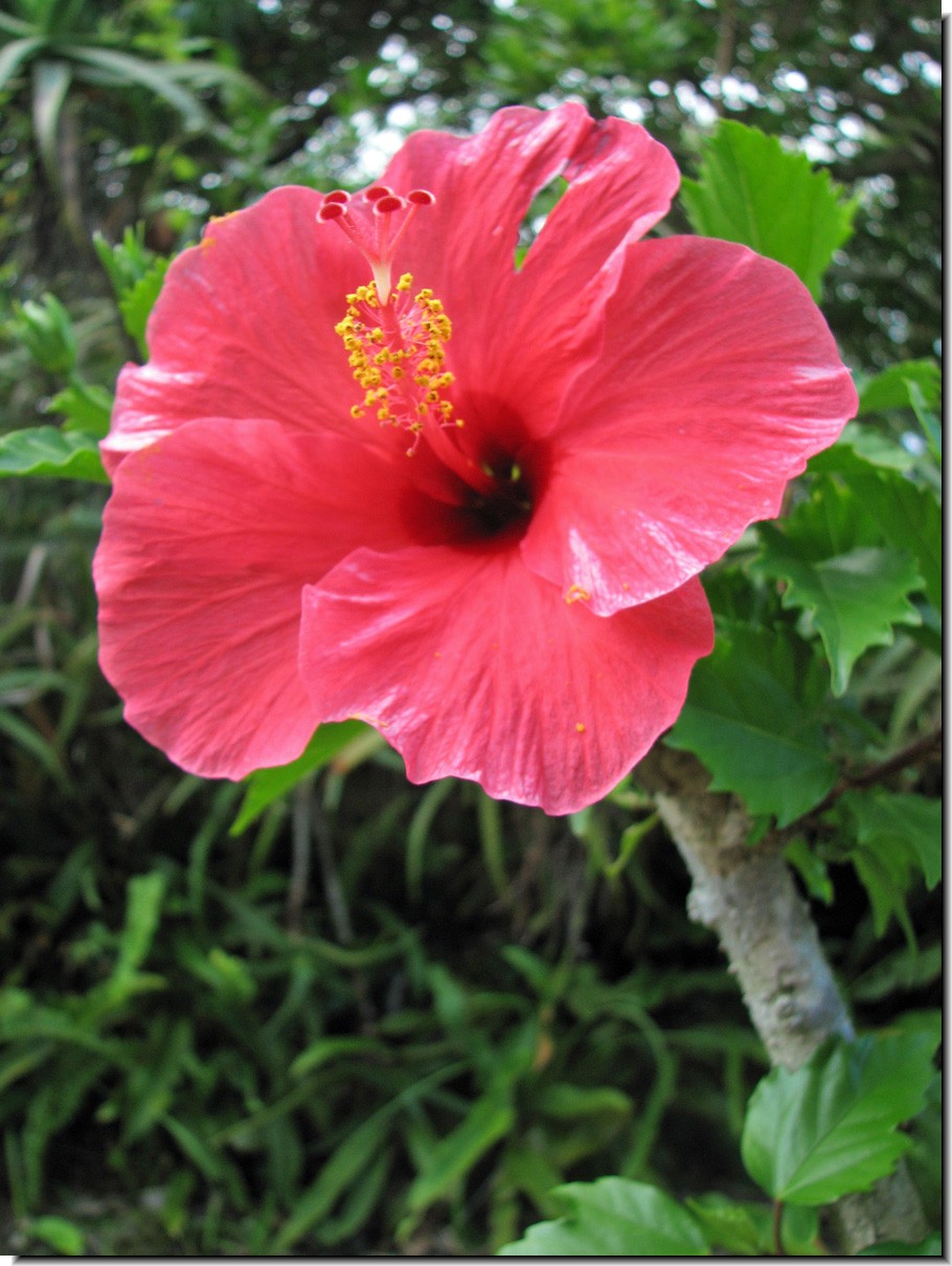 20080714-4