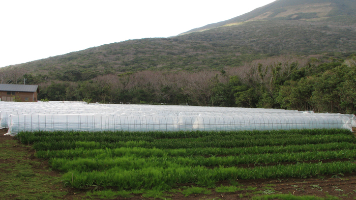 20090302-4-thumb-700x393-269