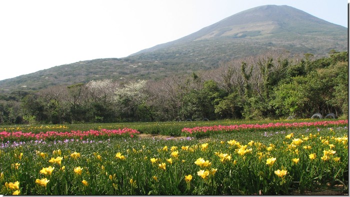 20090319-3-thumb-700x395-385