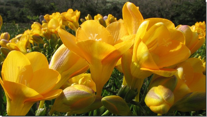 20090322-thumb-700x395-406