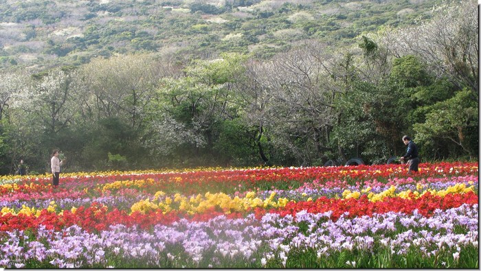 20090330-2-thumb-700x395-420